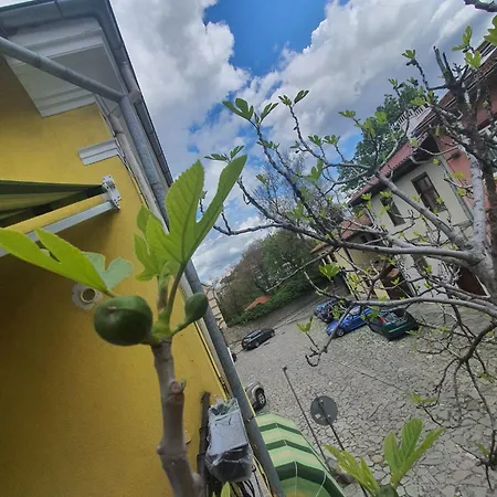Bed & Breakfast Hancho - Old Center *